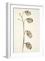 Dried Flowers-Torsten Richter-Framed Photographic Print