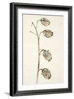 Dried Flowers-Torsten Richter-Framed Photographic Print