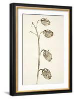 Dried Flowers-Torsten Richter-Framed Photographic Print
