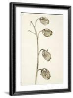 Dried Flowers-Torsten Richter-Framed Photographic Print