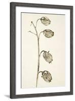 Dried Flowers-Torsten Richter-Framed Photographic Print