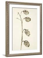 Dried Flowers-Torsten Richter-Framed Photographic Print