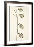Dried Flowers-Torsten Richter-Framed Photographic Print