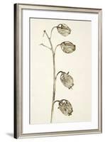 Dried Flowers-Torsten Richter-Framed Photographic Print