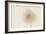 Dried Flowers-Torsten Richter-Framed Photographic Print