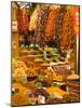 Dried Fruit and Spices for Sale, Spice Market, Istanbul, Turkey-Darrell Gulin-Mounted Photographic Print