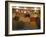 Dried Fruit Seller, Place Jemaa (Djemaa) El Fna, Marrakech (Marrakesh), Morocco, North Africa-Nico Tondini-Framed Photographic Print