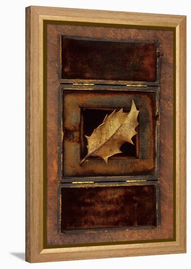 Dried Holly Leaf-Den Reader-Framed Premier Image Canvas