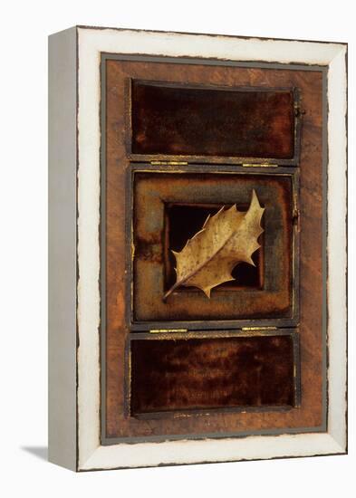 Dried Holly Leaf-Den Reader-Framed Premier Image Canvas