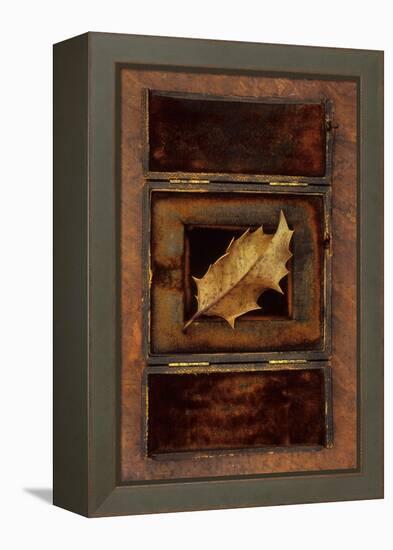Dried Holly Leaf-Den Reader-Framed Premier Image Canvas