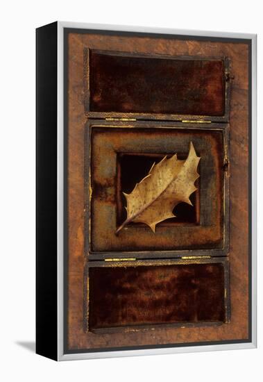Dried Holly Leaf-Den Reader-Framed Premier Image Canvas