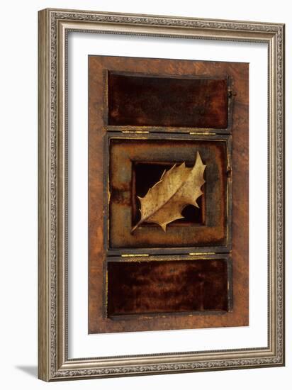 Dried Holly Leaf-Den Reader-Framed Photographic Print