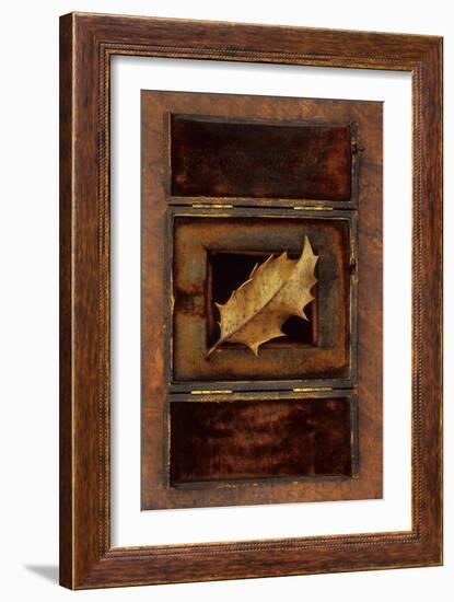 Dried Holly Leaf-Den Reader-Framed Photographic Print