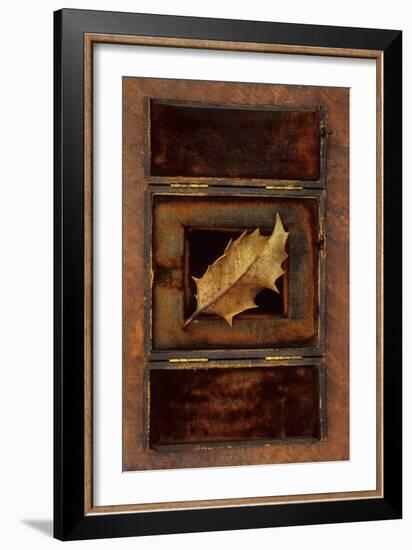 Dried Holly Leaf-Den Reader-Framed Photographic Print