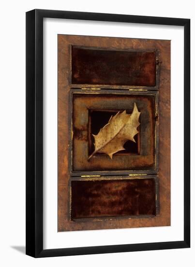 Dried Holly Leaf-Den Reader-Framed Photographic Print