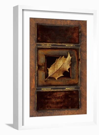 Dried Holly Leaf-Den Reader-Framed Photographic Print