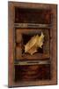 Dried Holly Leaf-Den Reader-Mounted Photographic Print