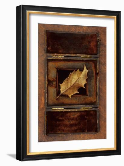 Dried Holly Leaf-Den Reader-Framed Photographic Print