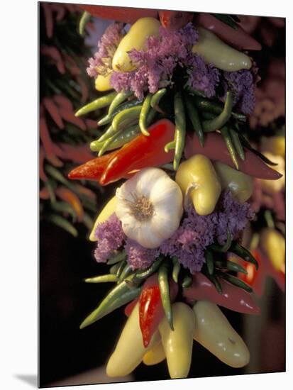 Dried Jalepeno Peppers and Garlic at Pike Place Market, Seattle, Washington, USA-Merrill Images-Mounted Photographic Print