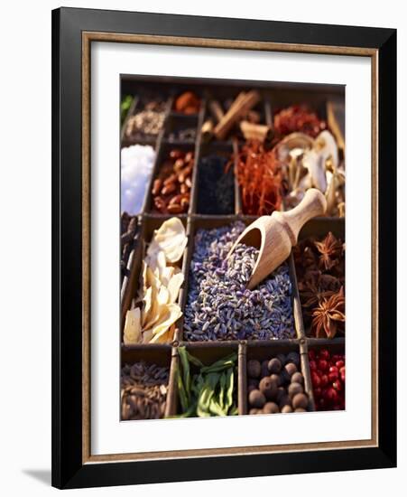 Dried Lavender Flowers with Various Spices in a Seedling Tray-Oliver Brachat-Framed Photographic Print