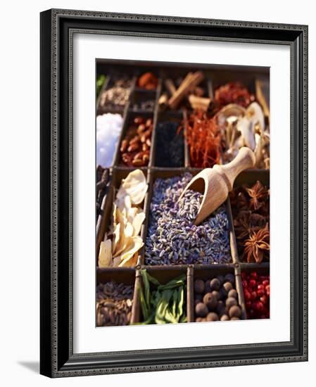 Dried Lavender Flowers with Various Spices in a Seedling Tray-Oliver Brachat-Framed Photographic Print