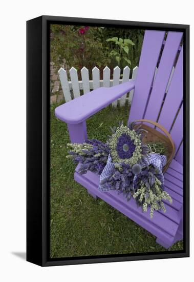 Dried Lavender on Purple Chair at Lavender Festival, Sequim, Washington, USA-Merrill Images-Framed Premier Image Canvas