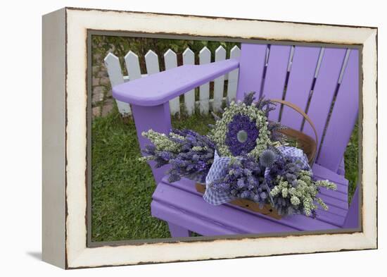 Dried Lavender on Purple Chair at Lavender Festival, Sequim, Washington, USA-Merrill Images-Framed Premier Image Canvas