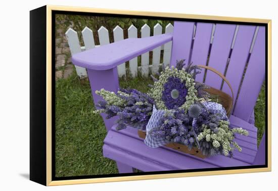 Dried Lavender on Purple Chair at Lavender Festival, Sequim, Washington, USA-Merrill Images-Framed Premier Image Canvas