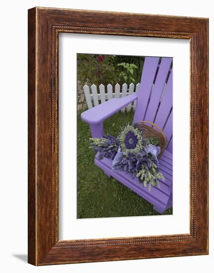 Dried Lavender on Purple Chair at Lavender Festival, Sequim, Washington, USA-Merrill Images-Framed Photographic Print