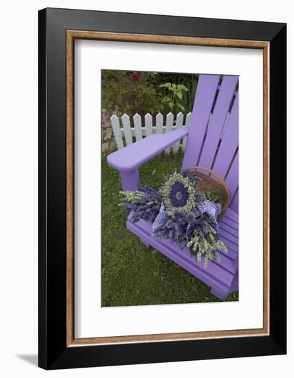 Dried Lavender on Purple Chair at Lavender Festival, Sequim, Washington, USA-Merrill Images-Framed Photographic Print