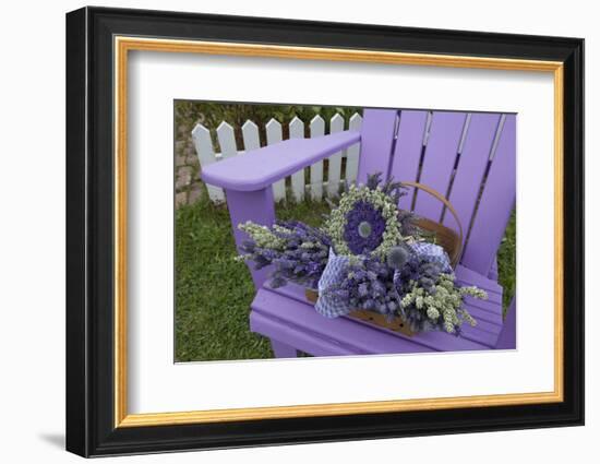 Dried Lavender on Purple Chair at Lavender Festival, Sequim, Washington, USA-Merrill Images-Framed Photographic Print