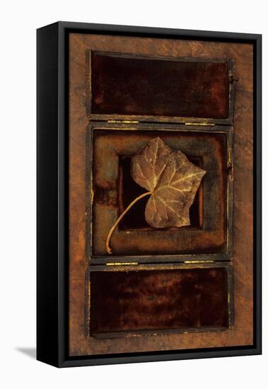 Dried Leaf-Den Reader-Framed Premier Image Canvas