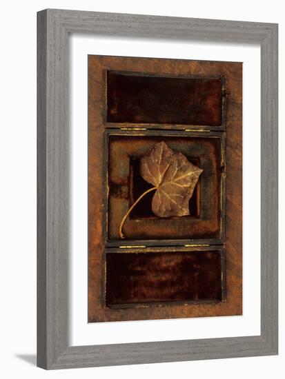 Dried Leaf-Den Reader-Framed Photographic Print