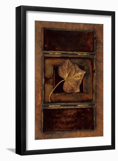 Dried Leaf-Den Reader-Framed Photographic Print