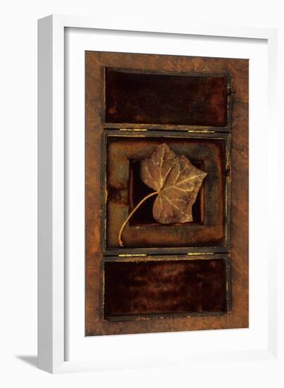 Dried Leaf-Den Reader-Framed Photographic Print