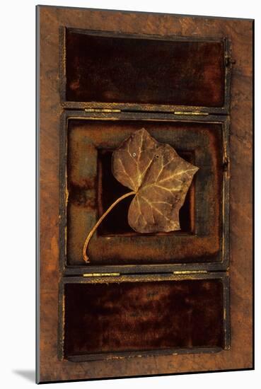 Dried Leaf-Den Reader-Mounted Photographic Print