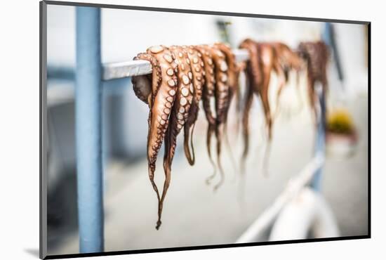 Dried octopus, Ermioni, Peloponnese, Greece-Matthew Williams-Ellis-Mounted Photographic Print