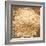 Dried Onion Flakes-Steve Gadomski-Framed Photographic Print