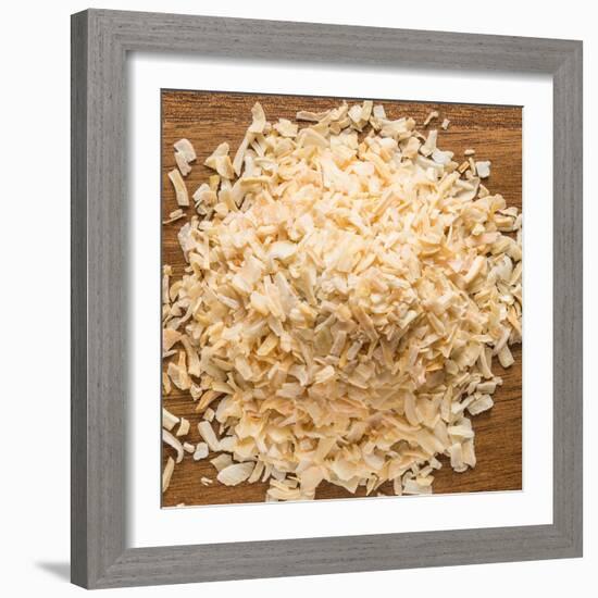 Dried Onion Flakes-Steve Gadomski-Framed Photographic Print