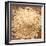 Dried Onion Flakes-Steve Gadomski-Framed Photographic Print