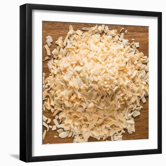 Dried Onion Flakes-Steve Gadomski-Framed Photographic Print