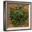 Dried Parsley-Steve Gadomski-Framed Photographic Print