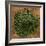 Dried Parsley-Steve Gadomski-Framed Photographic Print