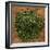 Dried Parsley-Steve Gadomski-Framed Photographic Print