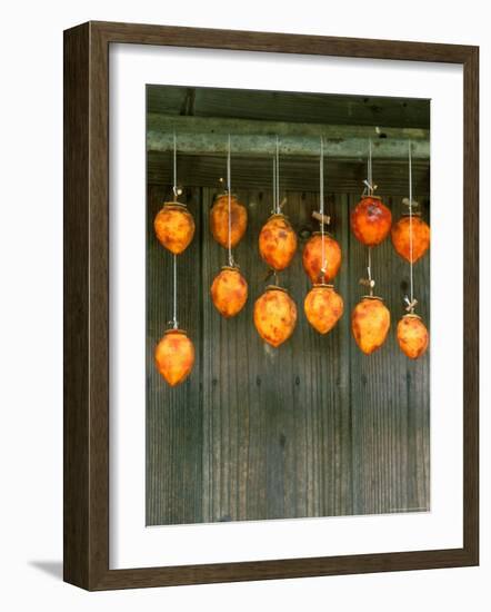 Dried Persimons, Shizuoka, Japan-Rob Tilley-Framed Photographic Print