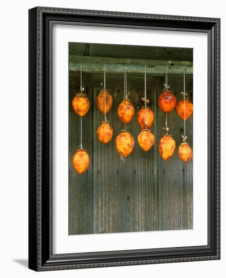 Dried Persimons, Shizuoka, Japan-Rob Tilley-Framed Photographic Print