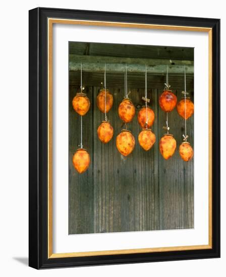 Dried Persimons, Shizuoka, Japan-Rob Tilley-Framed Photographic Print