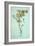 Dried Plant-Den Reader-Framed Photographic Print