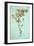 Dried Plant-Den Reader-Framed Photographic Print