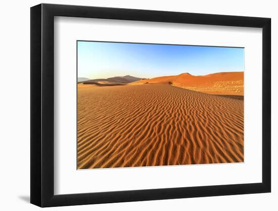 Dried Plants Among the Sand Dunes Shaped by Wind, Sossusvlei, Namib Naukluft National Park-Roberto Moiola-Framed Photographic Print